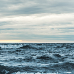 Freshwater vs Saltwater: A Tale of Two Waters
