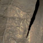 Ancient Engravings 250,000 Years Older Than You Think