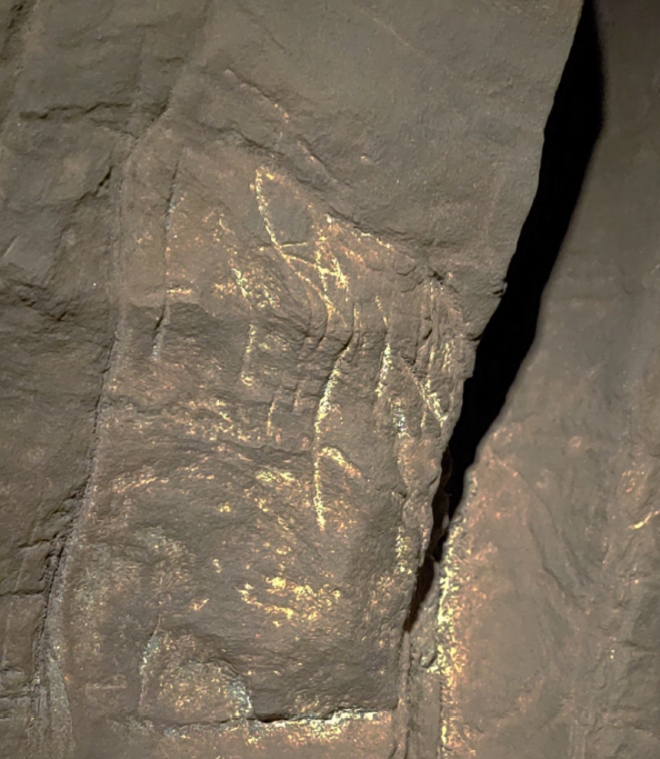 Ancient Engravings 250,000 Years Older Than You Think