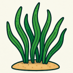 3 Lessons from Indonesia’s Seagrass Carbon Story