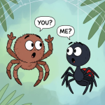 When Spiders Meet Twice