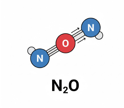 Nitrous Oxide in the South Pacific: Impacts on Our Oceans