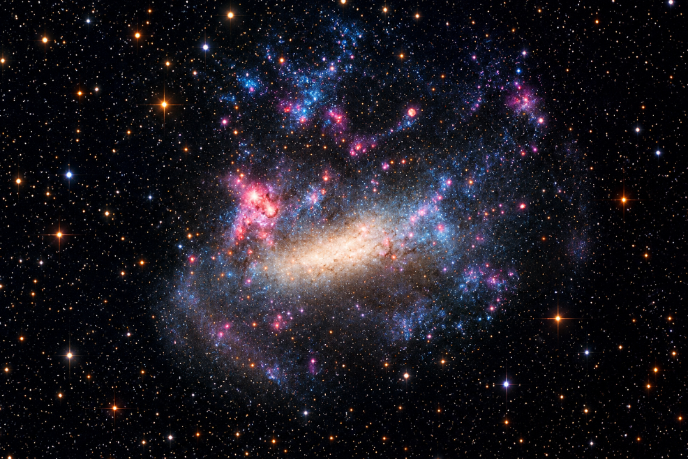 Hidden Galaxies: Dwarfs in Cluster Environments